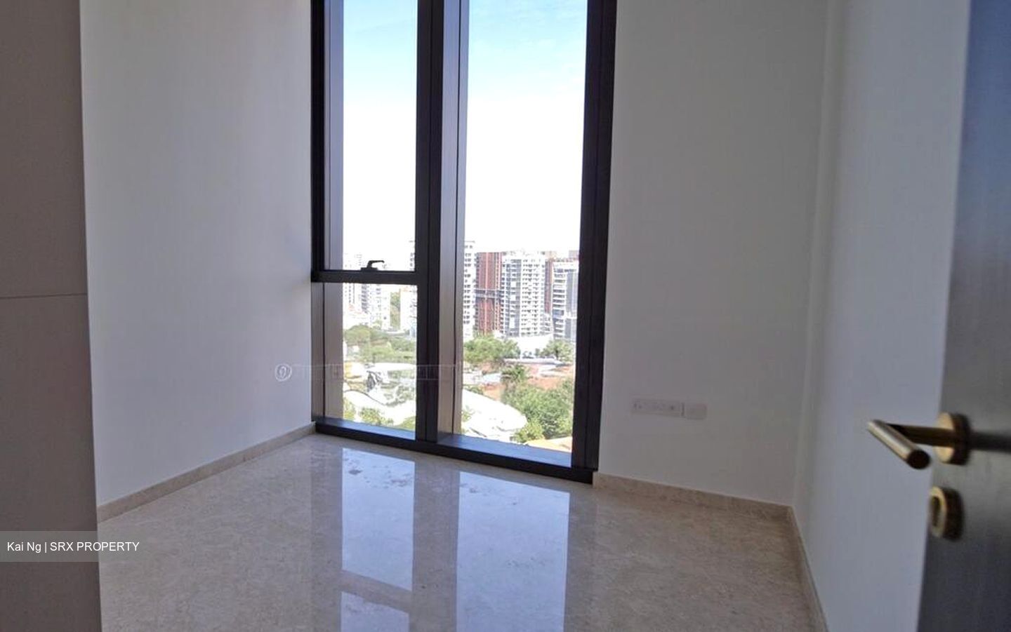 Meyer Mansion (D15), Apartment #505342971